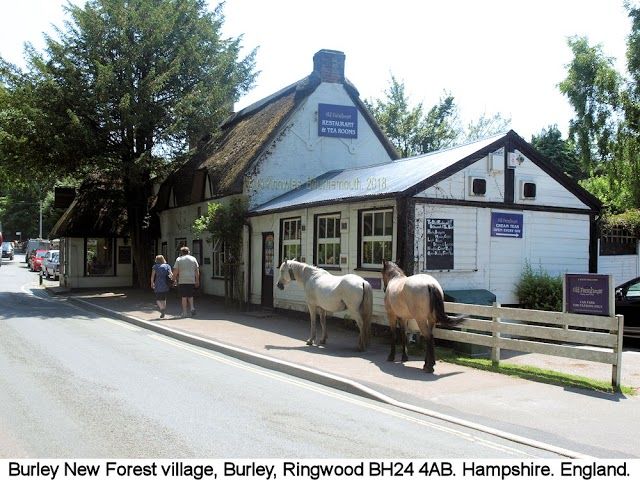 Burley New Forest village